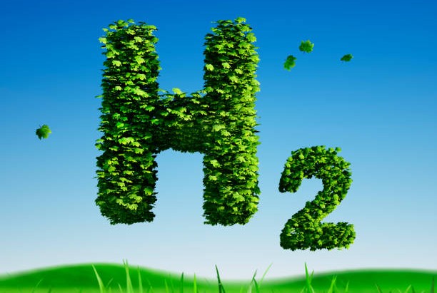 3d rendering of green hydrogen icon in a green plant environment with blue sky